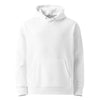 Premium Logo Hoodie - Official Trucks